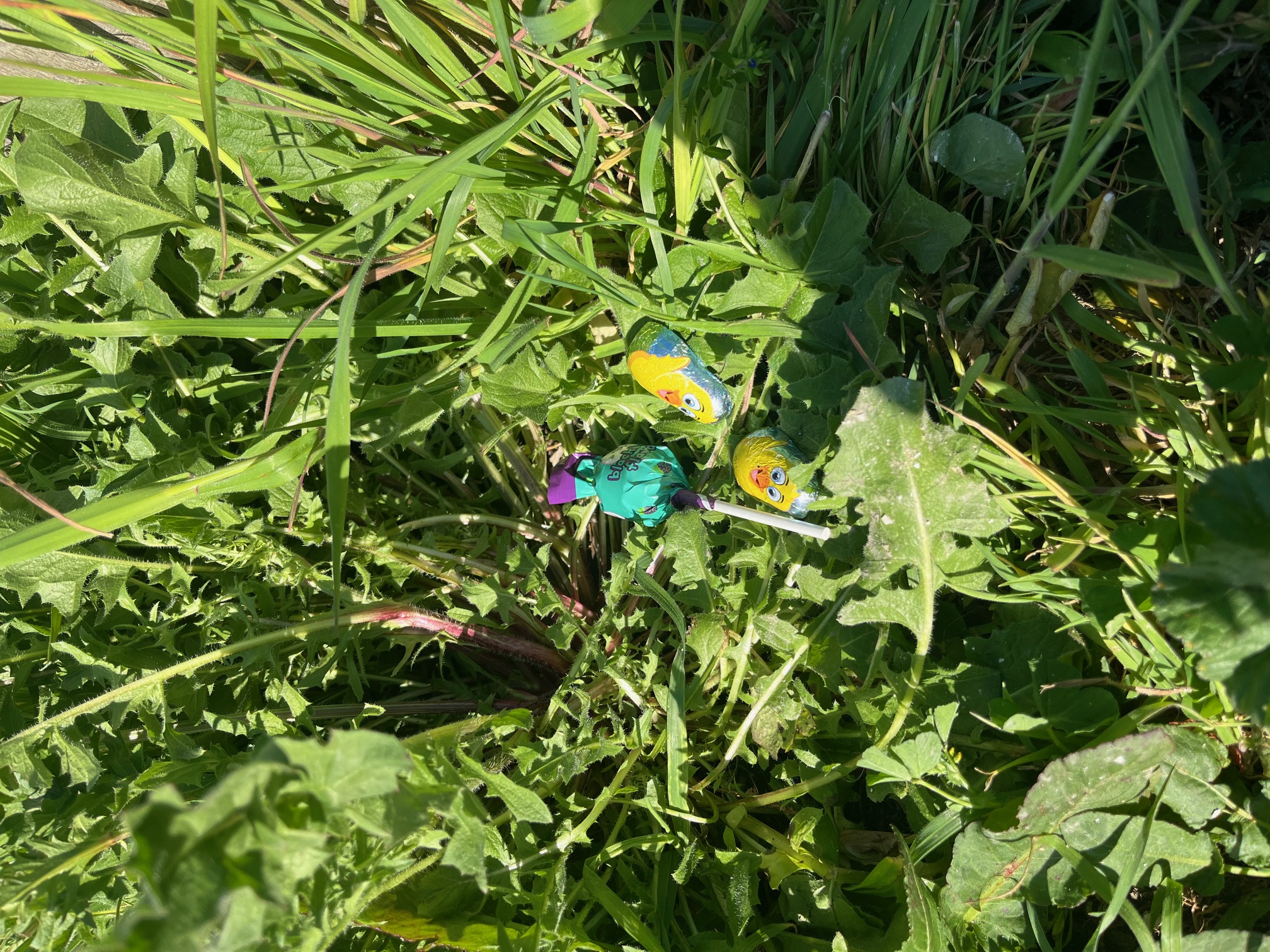 Photo d'illustration