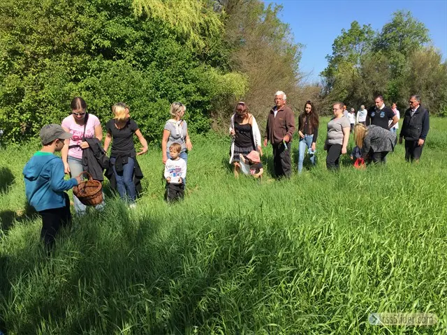 Chasse aux oeufs 2017